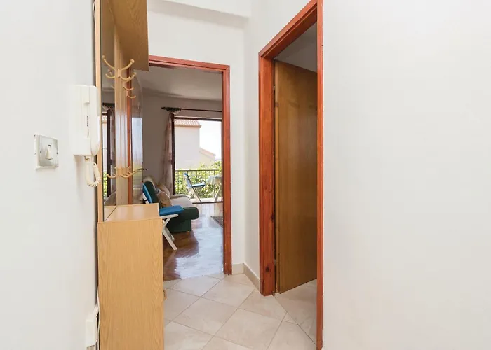 Rfmihanovica זאדאר