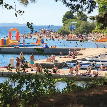 Rfmihanovica